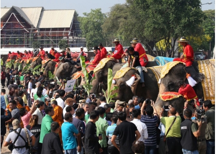 2019–03-14 泰国大象节喃邦、清迈摆桌宴请大象